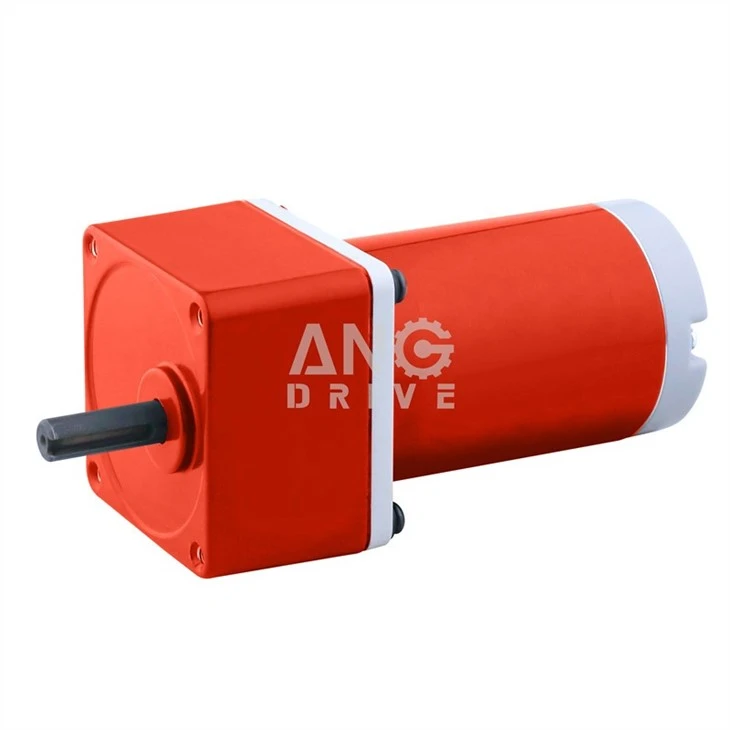 Planetary Gear Motor