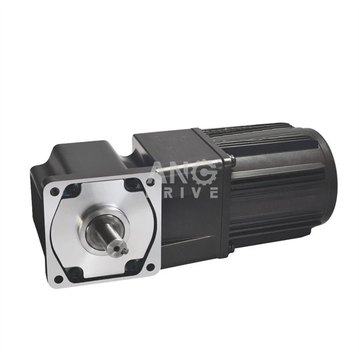 120W Single Phase Gear Motor