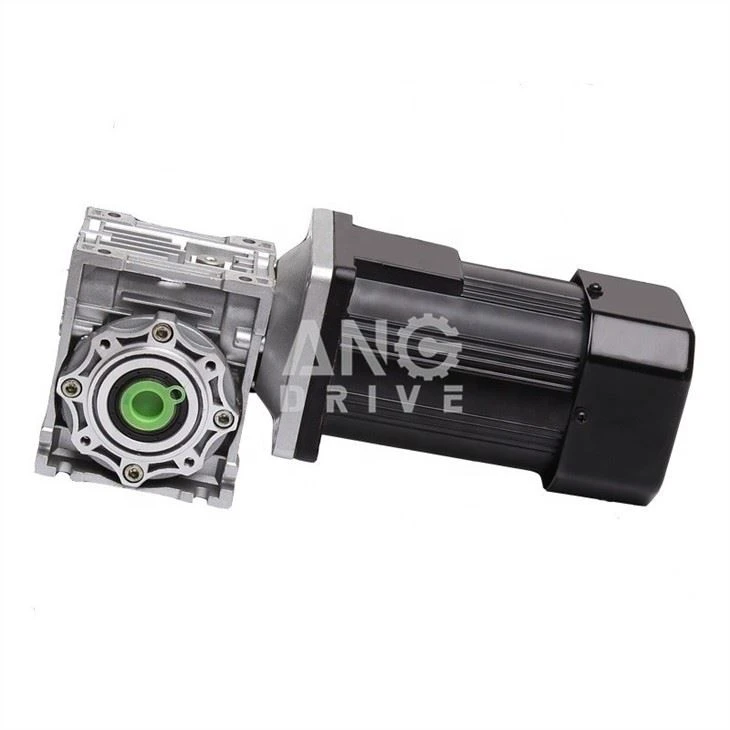 NMRV+micro ac motor_