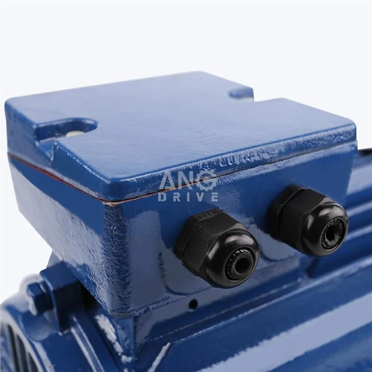 45KW Motor
