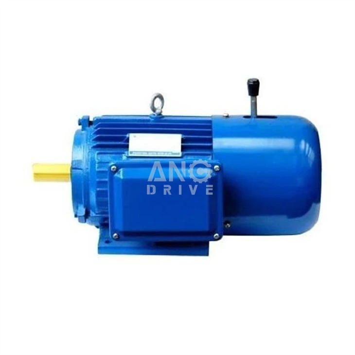 Asynkron bremsemotor