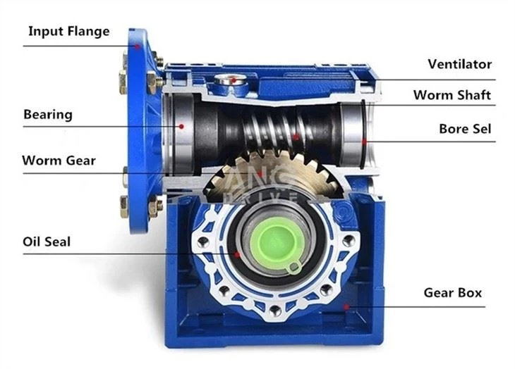 Double Worm Gearmotor