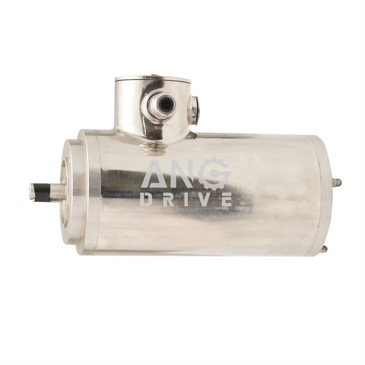IP66 gearmotor
