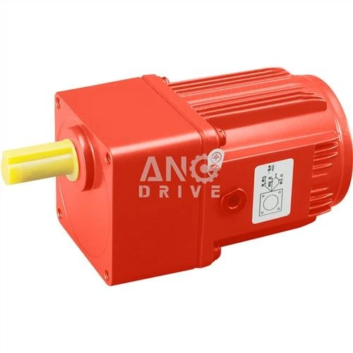 Kedel Gear Motor