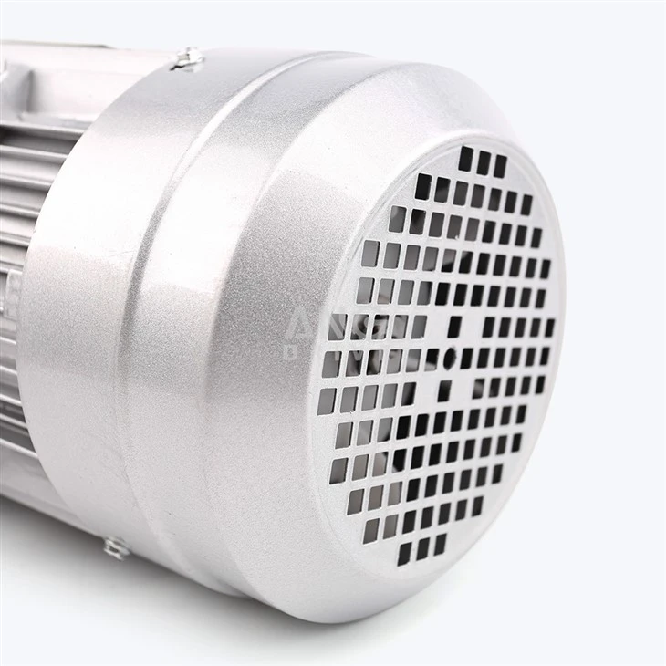 single phase electric motor